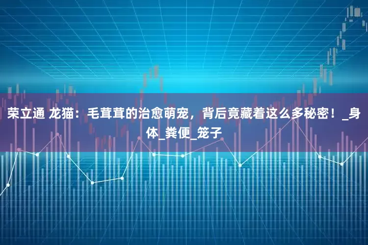 荣立通 龙猫：毛茸茸的治愈萌宠，背后竟藏着这么多秘密！_身体_粪便_笼子