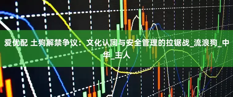 爱优配 土狗解禁争议：文化认同与安全管理的拉锯战_流浪狗_中华_主人