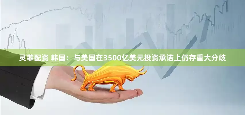 灵菲配资 韩国：与美国在3500亿美元投资承诺上仍存重大分歧